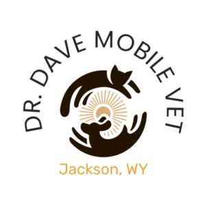 logo-transparent-png
