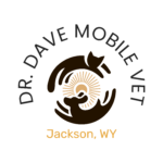 logo-transparent-png